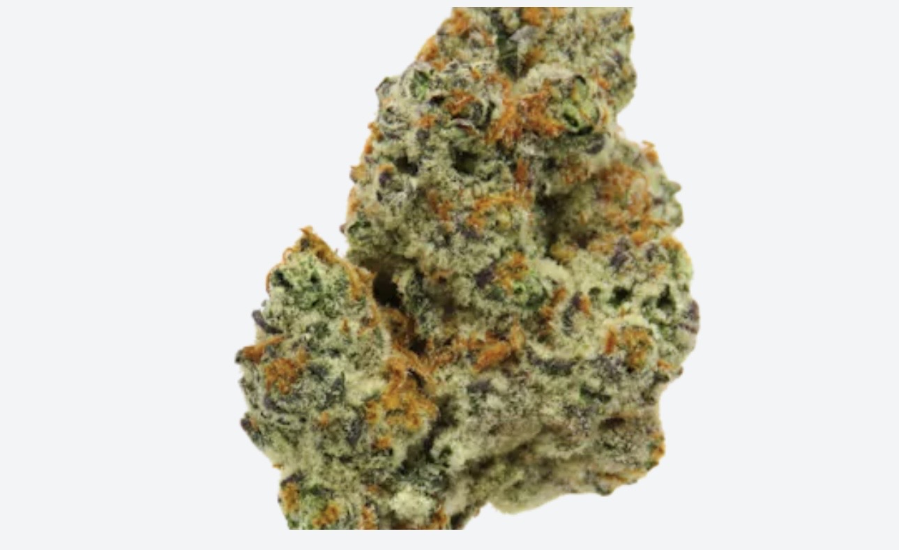 Banana Macaroon cannabis strain 25% THC - Cancun Weed Dispensary delivery