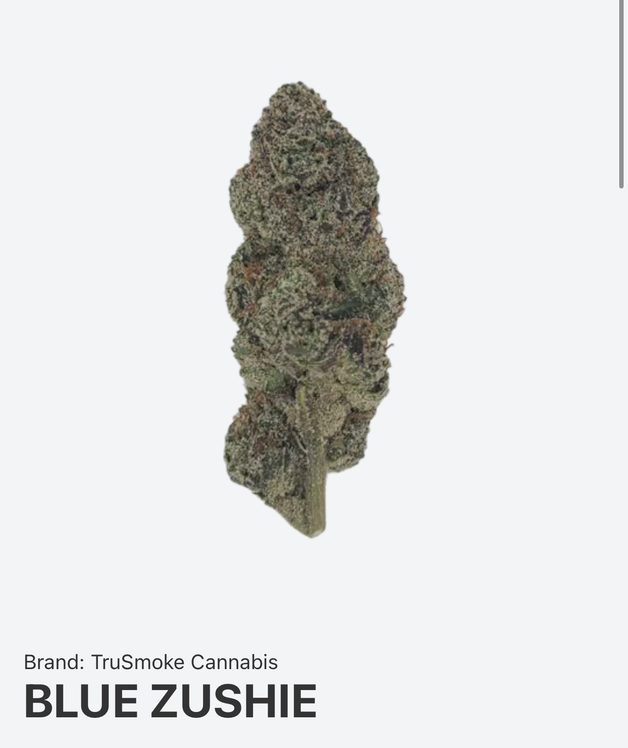 Blue Zushie cannabis strain 27% THC - Cancun Weed Dispensary delivery