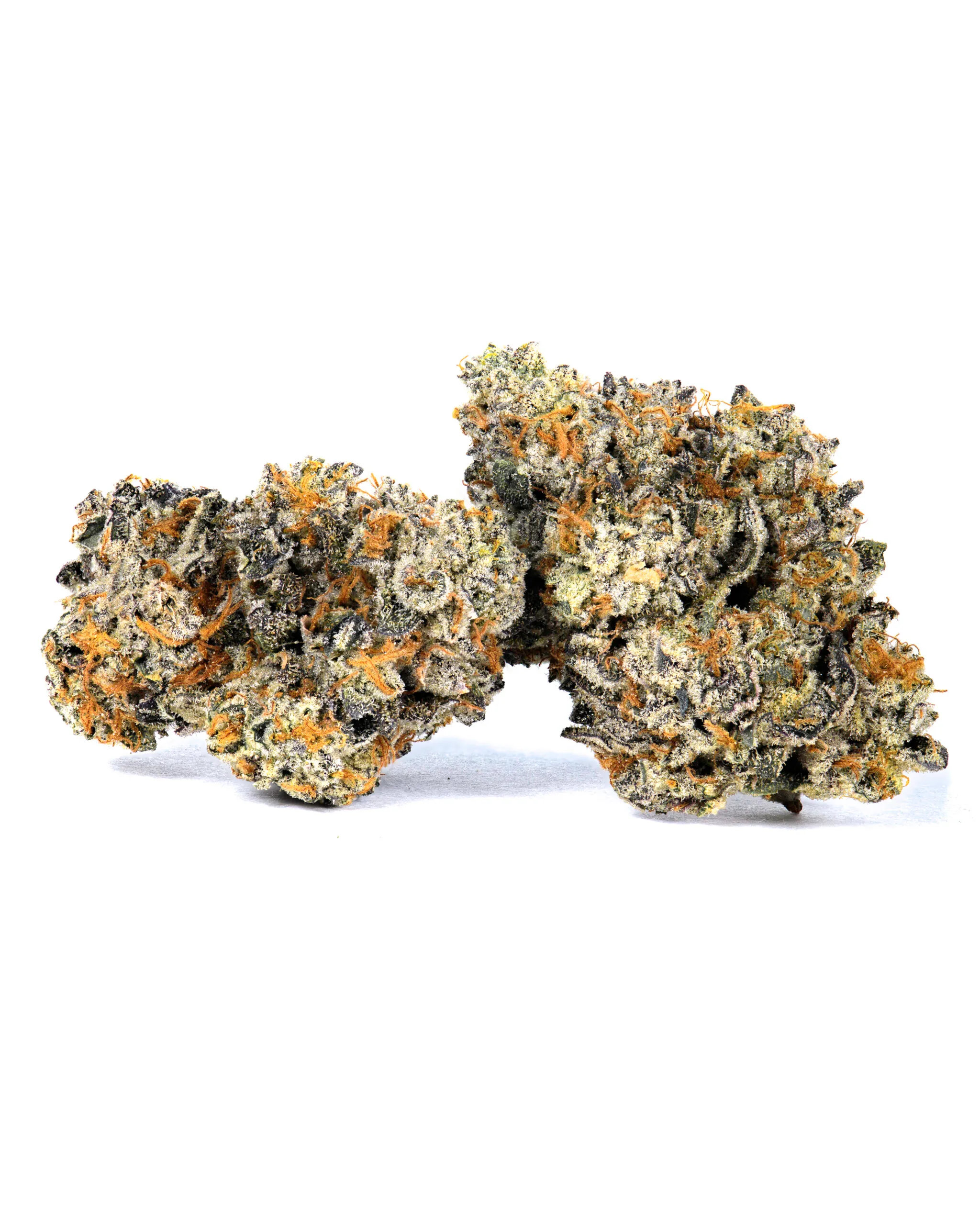 Blue Suede cannabis strain 36% THC - Cancun Weed Dispensary delivery