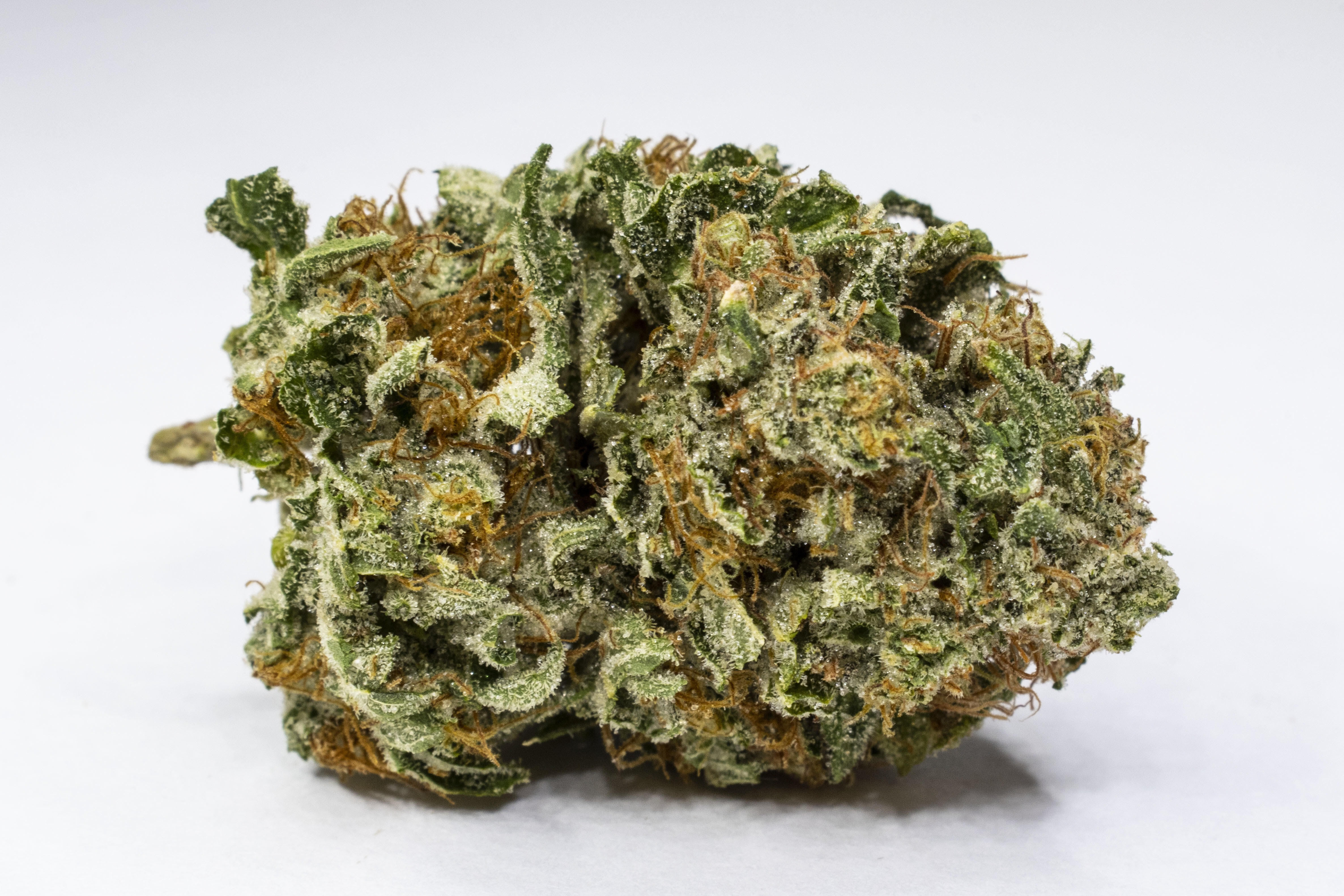 Bruce Banner cannabis strain 29% THC - Cancun Weed Dispensary delivery