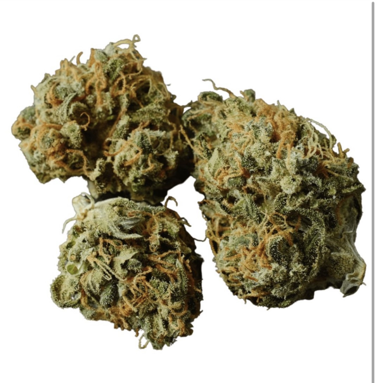 Gorilla Glue #4 cannabis strain 30% THC - Cancun Weed Dispensary delivery