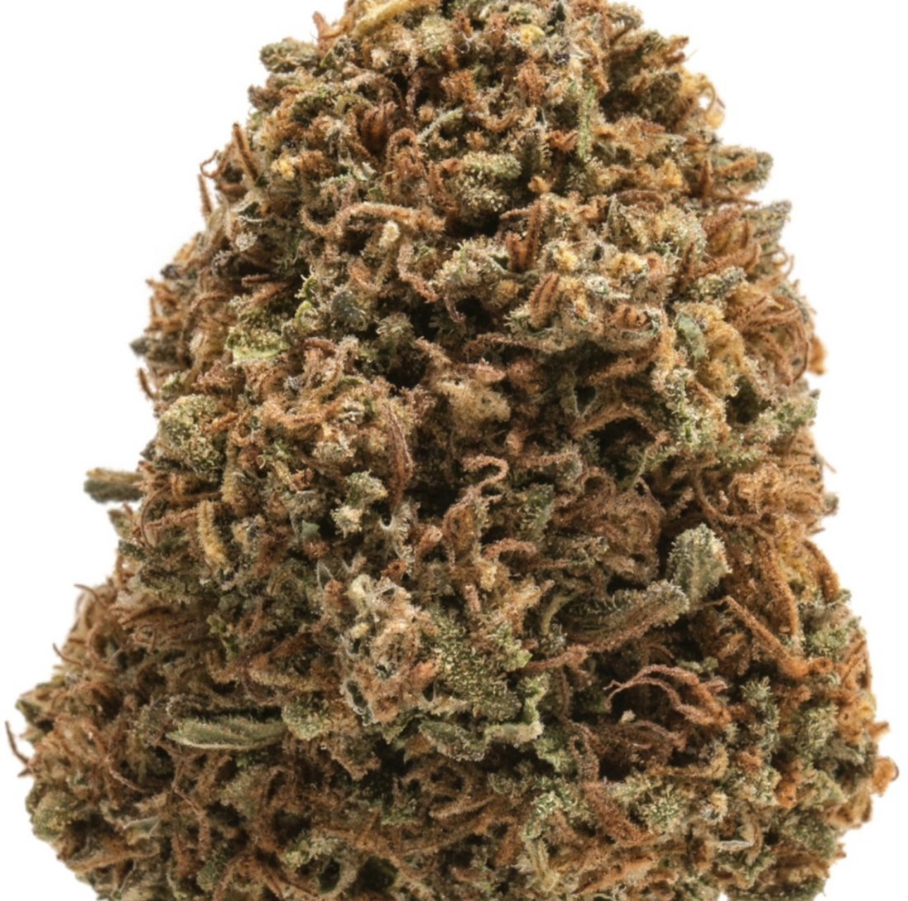 Orange Kush cannabis strain 28% THC - Cancun Weed Dispensary delivery